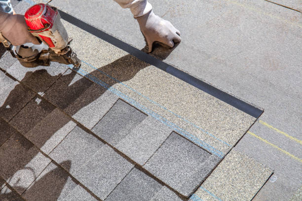 Best Metal Roofing Contractor  in Ceresco, NE